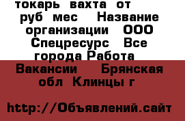 токарь. вахта. от 50 000 руб./мес. › Название организации ­ ООО Спецресурс - Все города Работа » Вакансии   . Брянская обл.,Клинцы г.